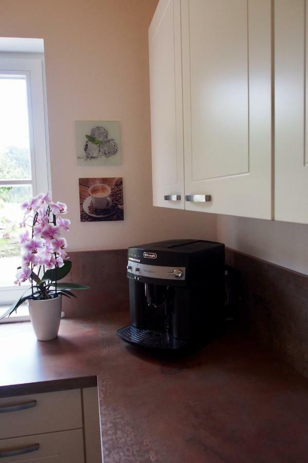 Ferienwohnung Almflair Chalet 蒂尔塞 外观 照片